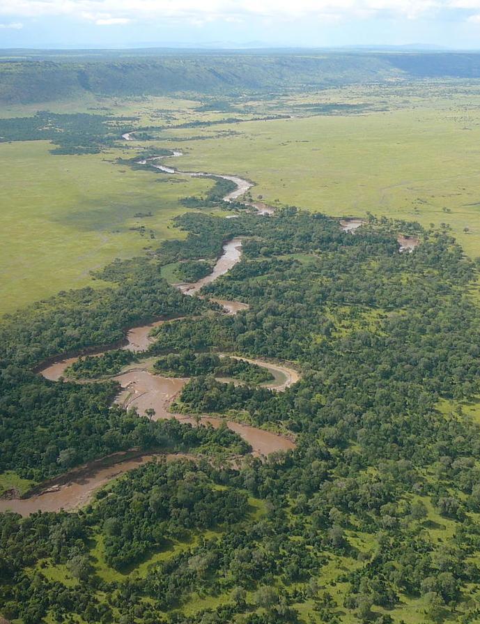 An aerial view of the Mara river