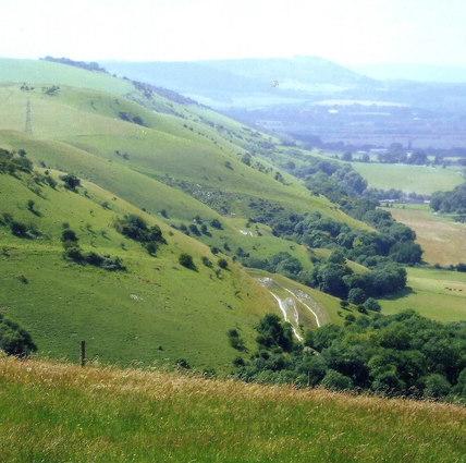 South Downs escarpment at Devil's Dyke