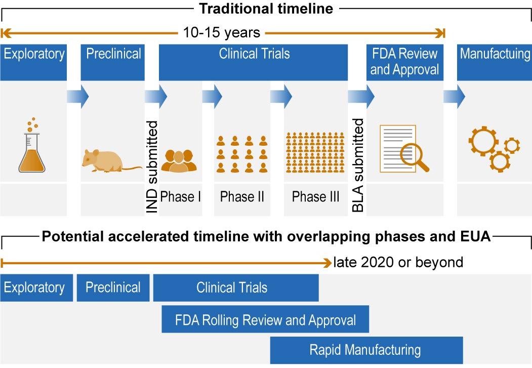 Timeline for a Covid-19 vaccine development