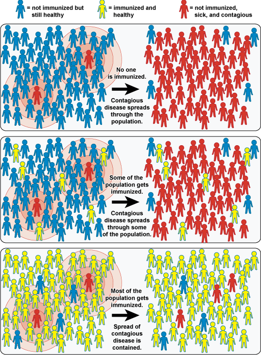 Graphic showing progress towards herd immunity