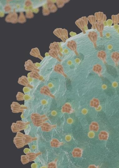 Covid-19 virus particles