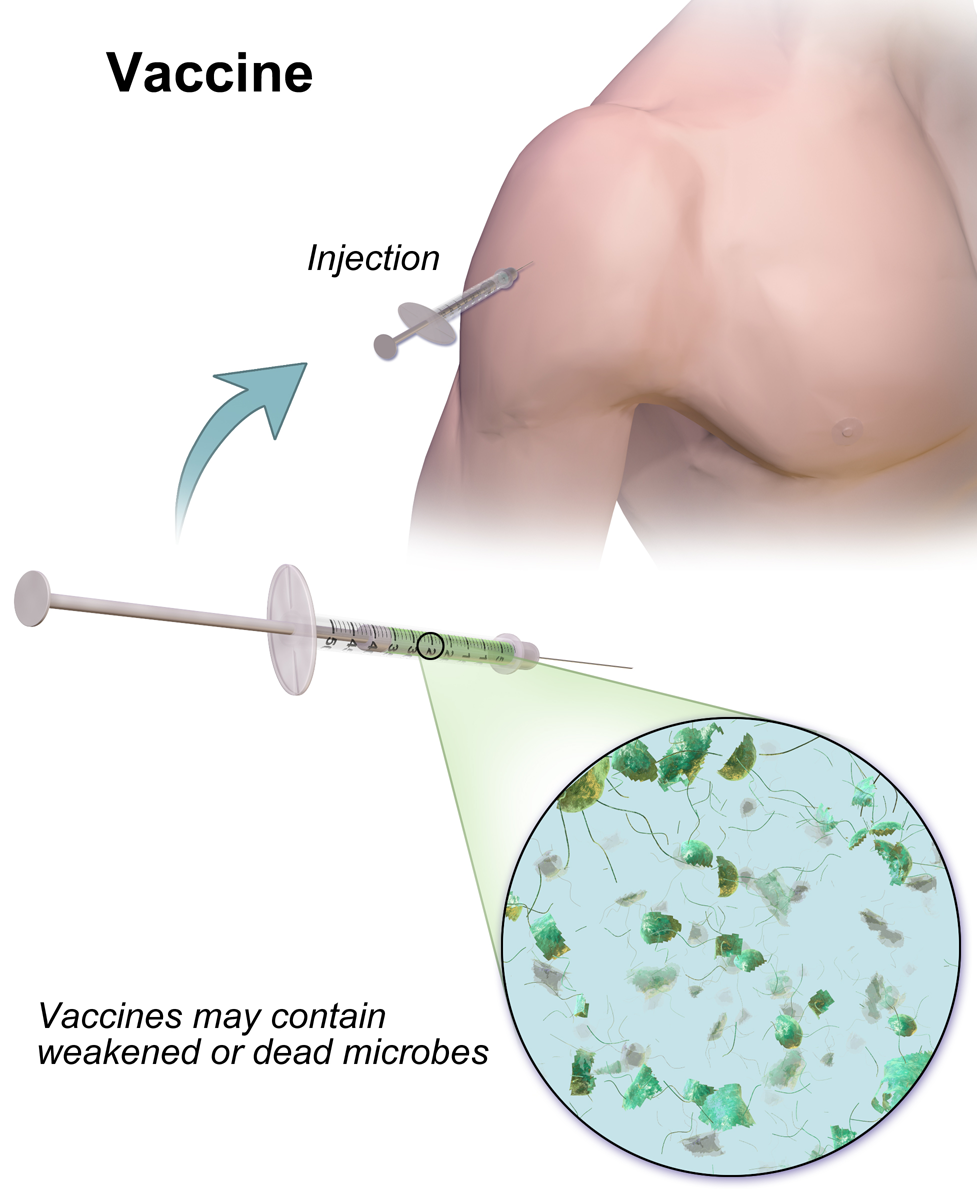 Diagram of how a vaccination works