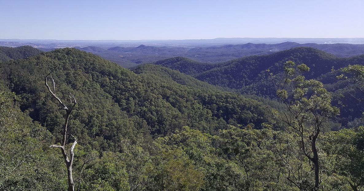 Forested hills of the D'Aguilar National Park