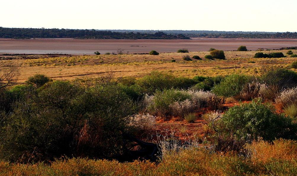 Salt lakes in the Great Victoria Desert