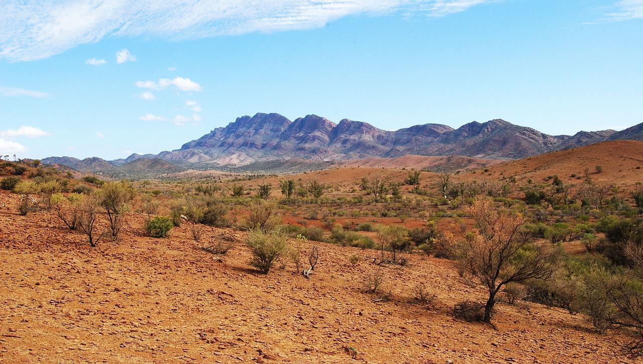 Arid grazing land near the Flinders Ranges