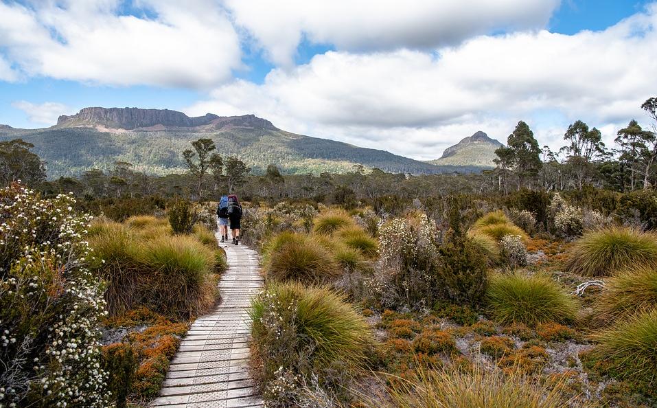 Walkers on the Overland Track, Central Highlands