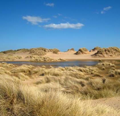 Dune slack