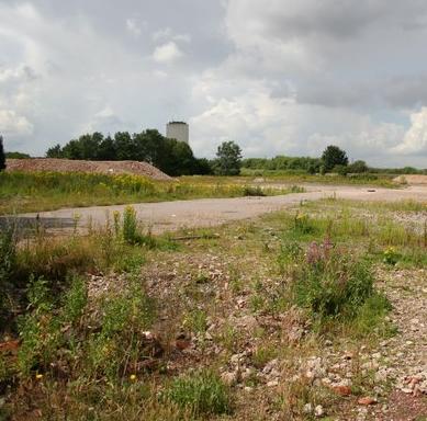 Brownfield sites offer a mix of habitats