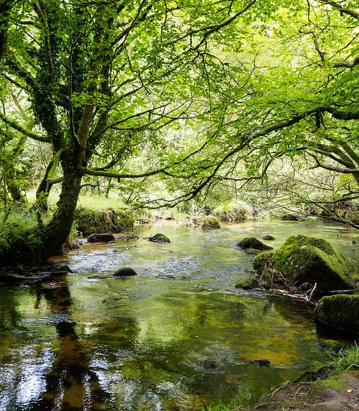 The river Fowey in Cornwall, England