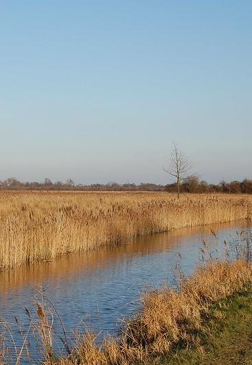 Wicken Fen, Cambridgeshire