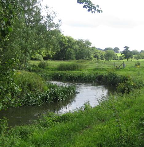 River Nadder in Wiltshire, a chalk stream