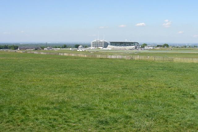 Artificial grasslands on a racecourse