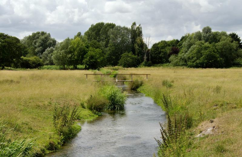 Water meadow near Salisbury, southern England