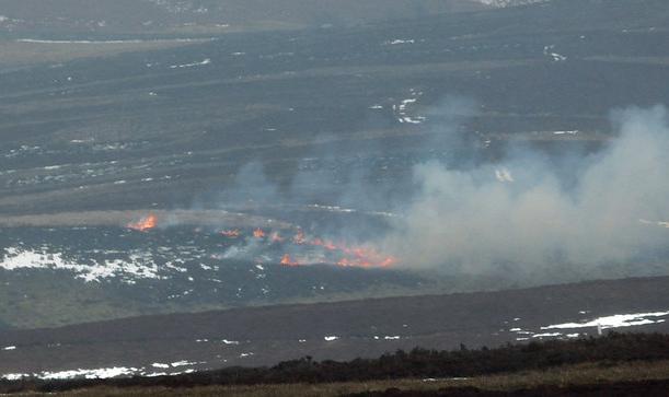 Burning heather in the Peak District, England
