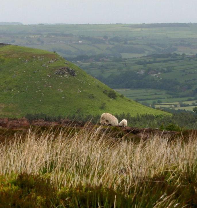 The Yorkshire Dales, northern England