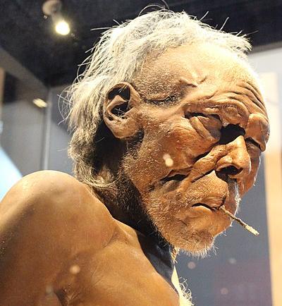 Model of the head of Homo sapiens