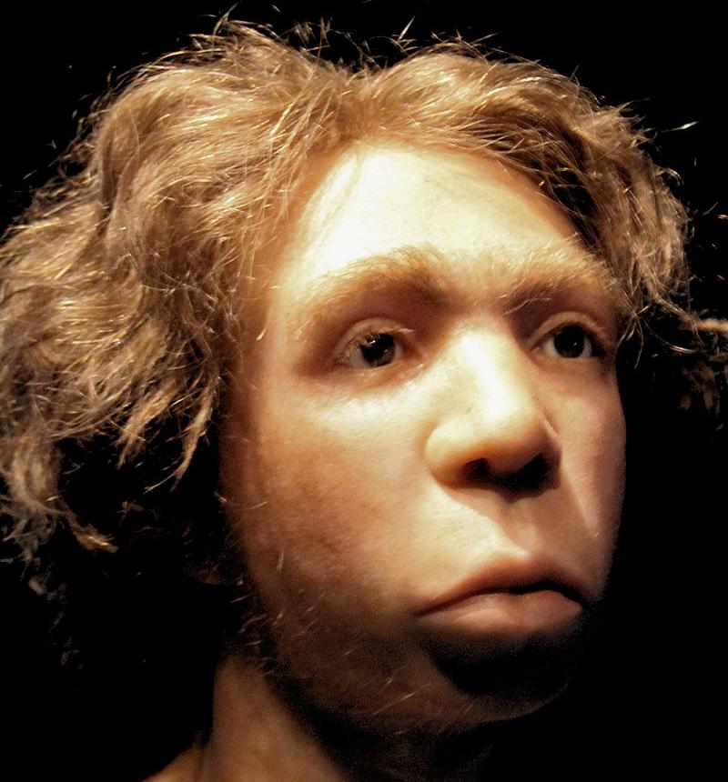 Reconstruction of a young Neanderthal man