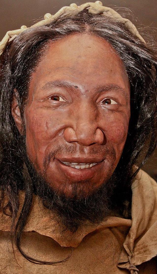 A descendant of Homo sapiens / Neanderthal interbreeding