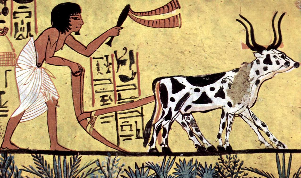 Ancient Egyptian farmer ploughing his fields using an ard
