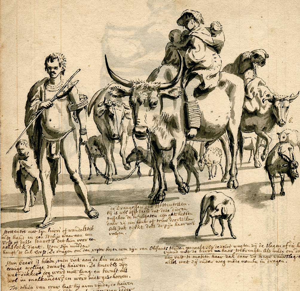 Khoikhoi family travelling with their domestic animals