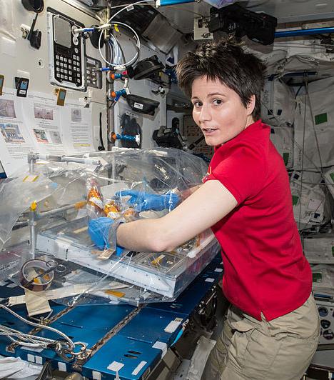 A crew member unpacks an experiment sent up to the ISS