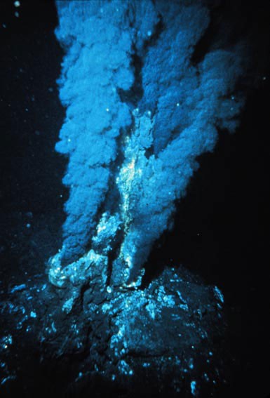 Hydrothermal vents
