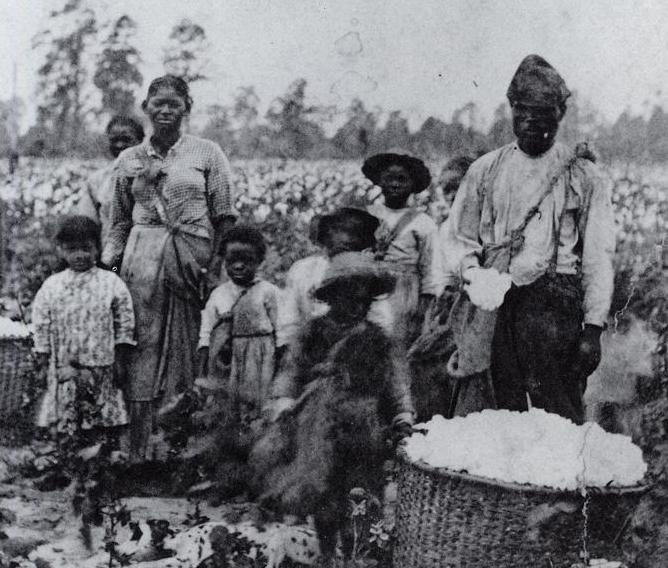 African American family in a cotton field in Georgia, 1850