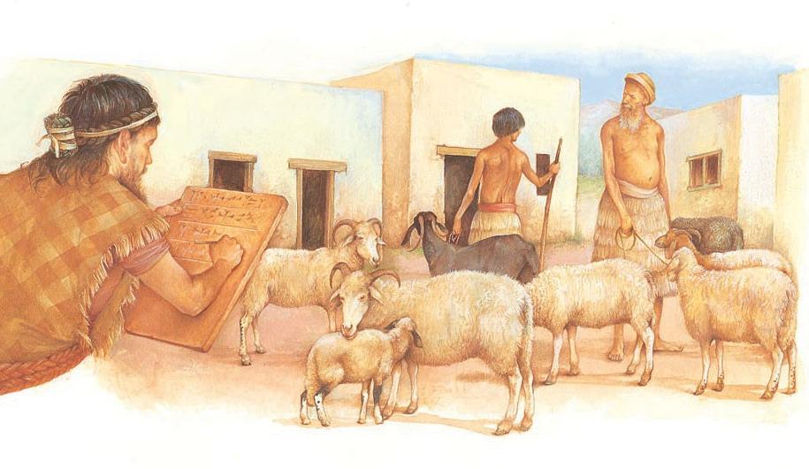 A Sumerian scribe records the number of sheep and goats a farmer has