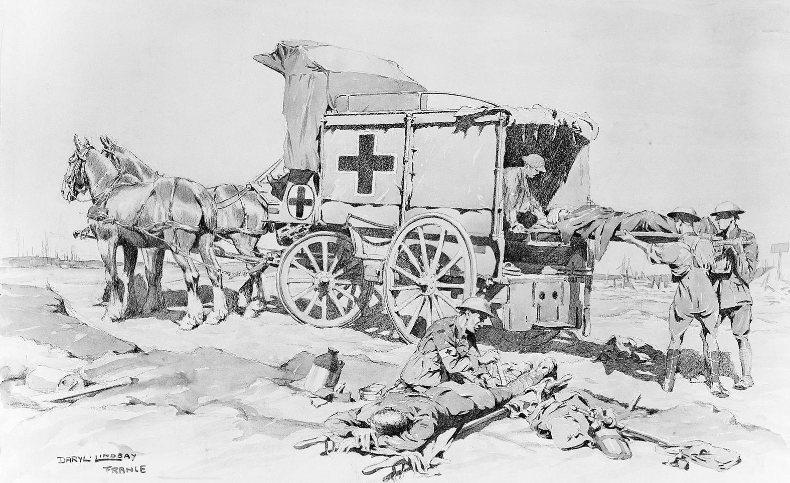 Drawing of a horse ambulance at Ypres