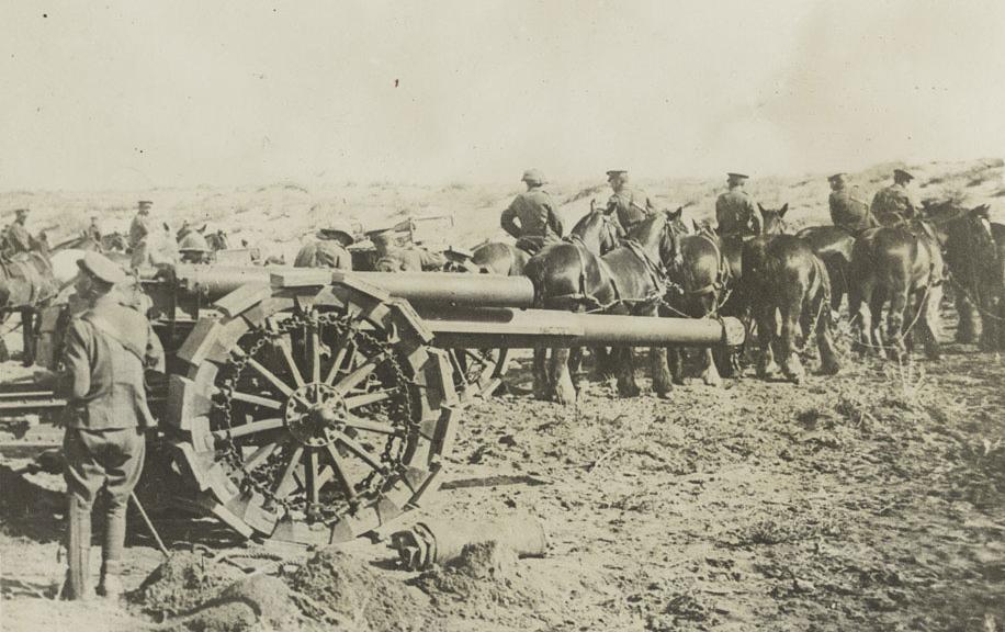 A team of 10 horses hauls a howitzer gun into position