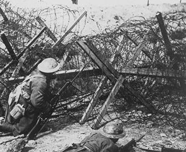 Barbed wire defending a line of trenches
