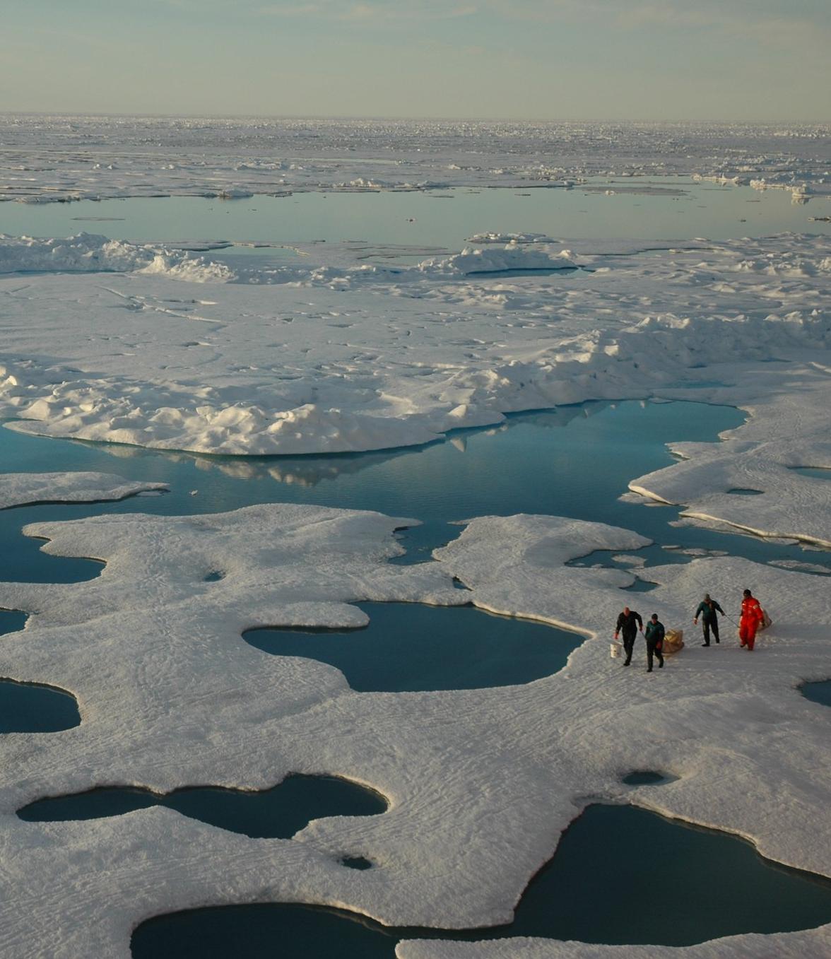 Melting ice floes in the Arctic Ocean