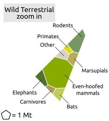 Wild land mammals, by biomass