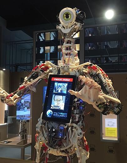 A humanoid robot with artificial bones, muscles and tendons