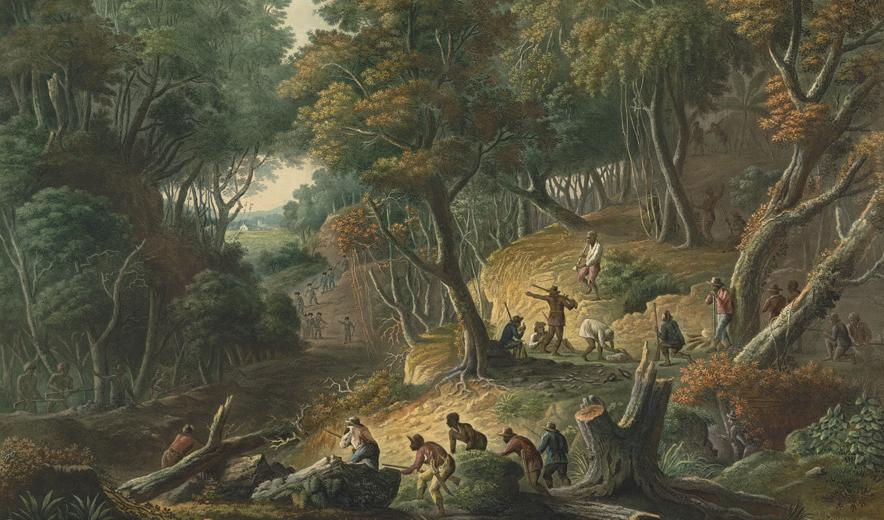 British troops ambushed by maroons during the 2nd Maroon War