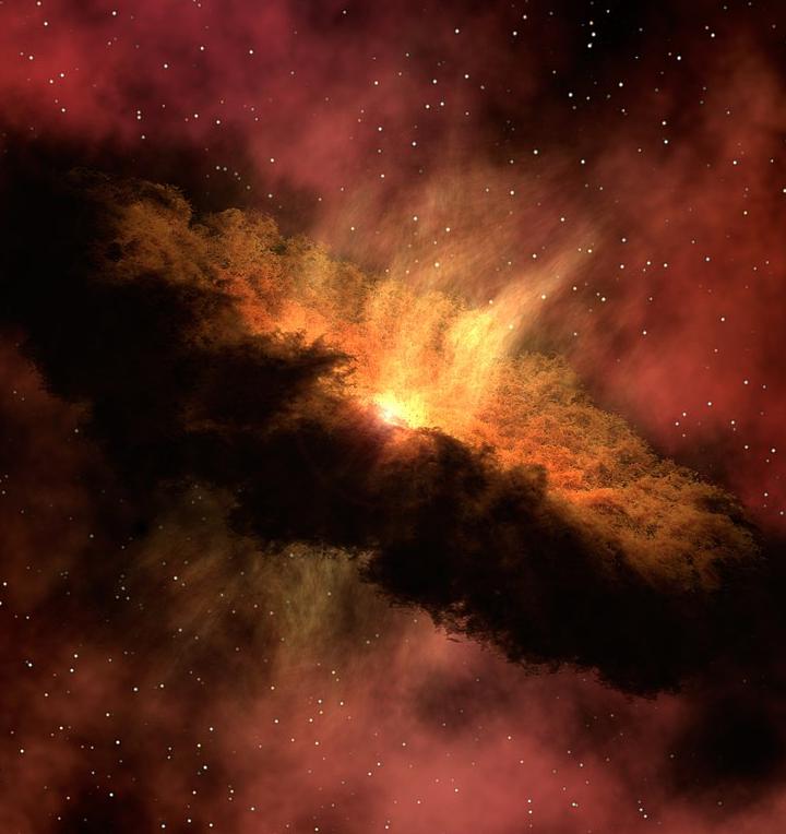 A disc of swirling gas and dust that circles a forming star