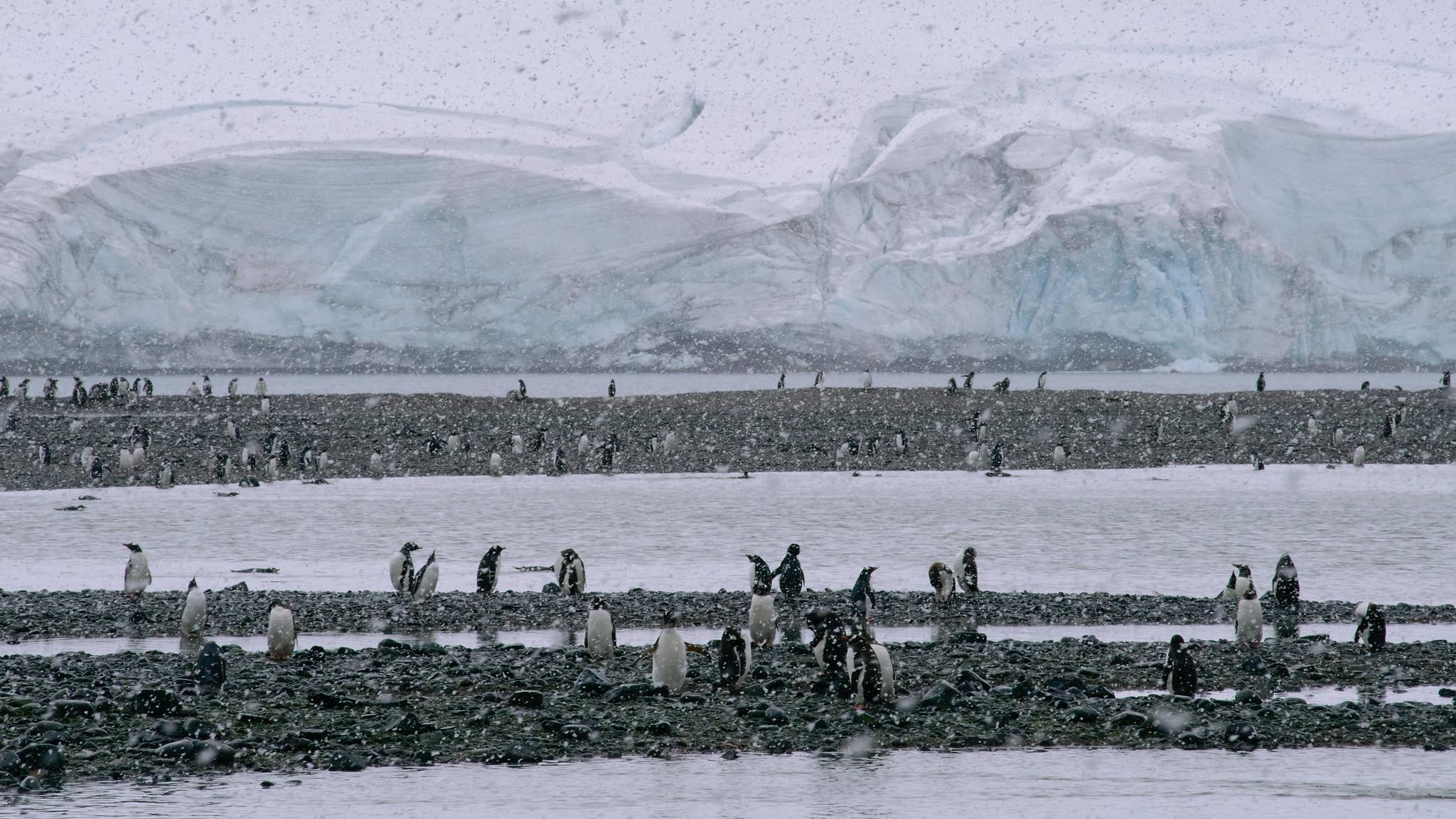 Snowing in Antarctica