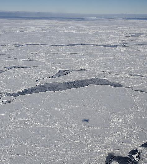 Sea ice, Bellingshausen Sea, off the coast of Antarctica