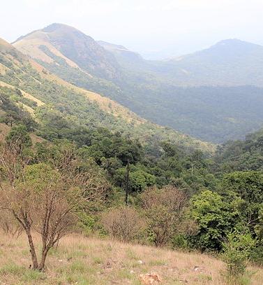 Kodachadri, a peak in the Western Ghats
