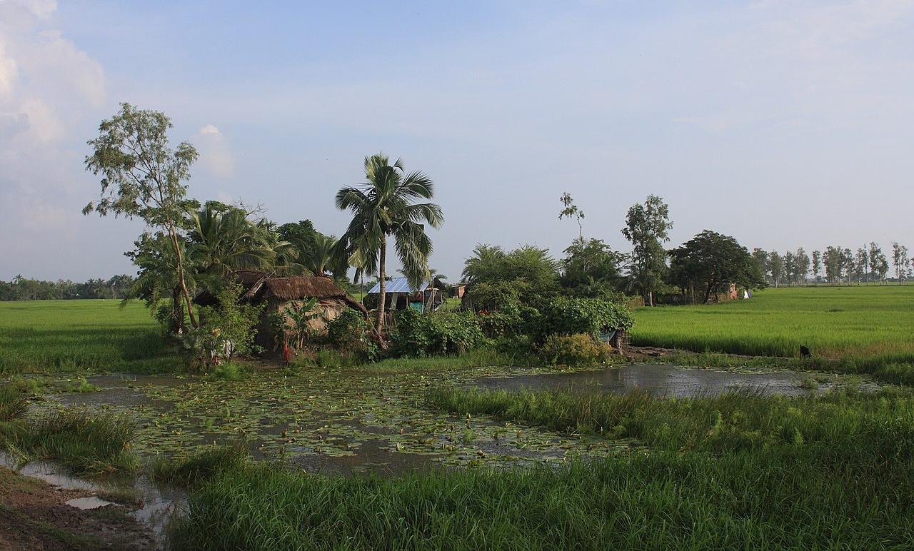 A farm on an island in the Ganges Delta
