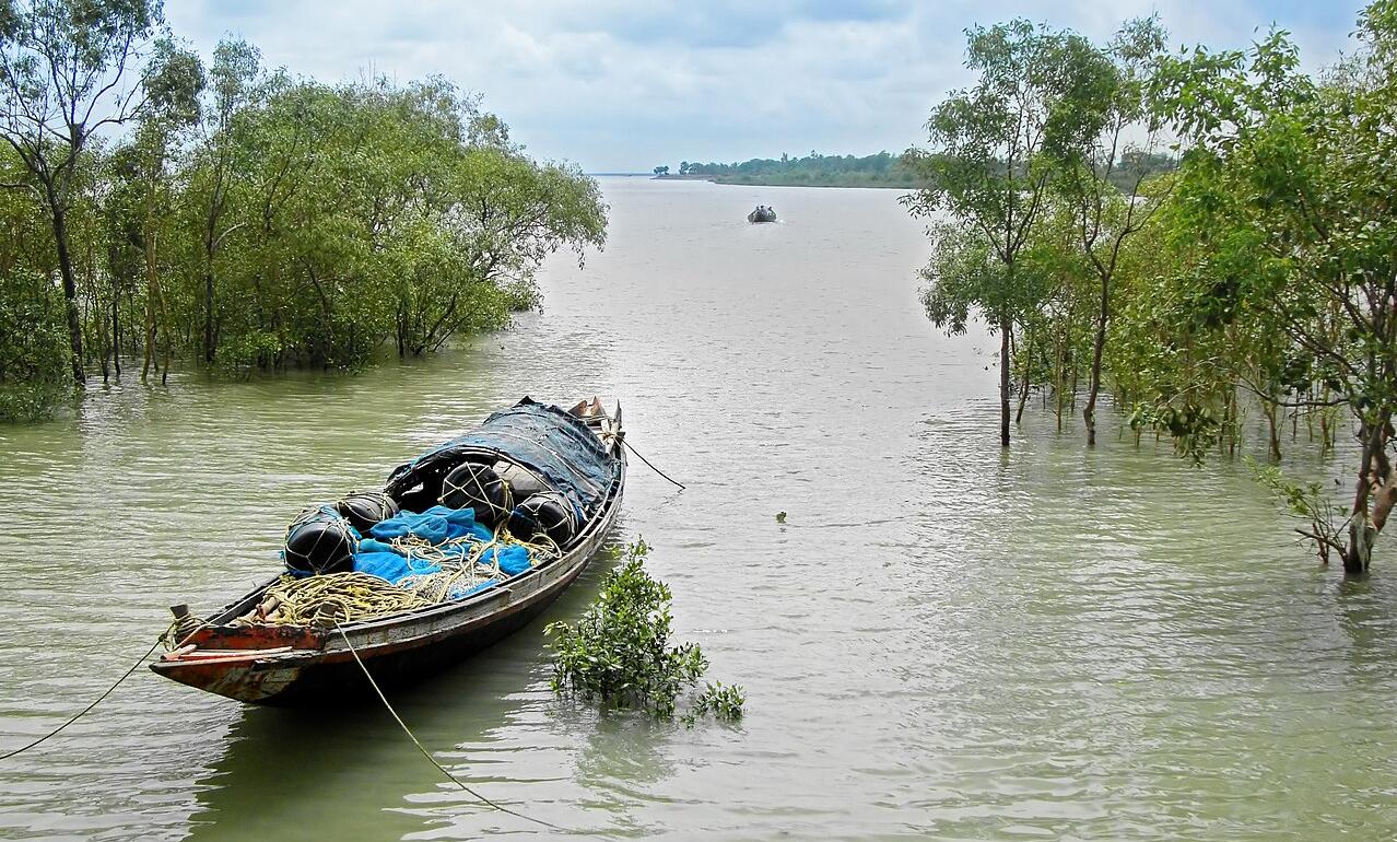 A boat in the Sundarbans