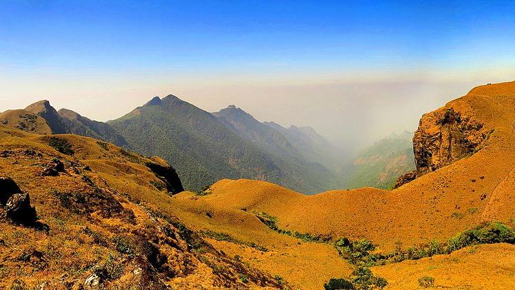 Silent Valley National Park, in the Nilgiri Hills
