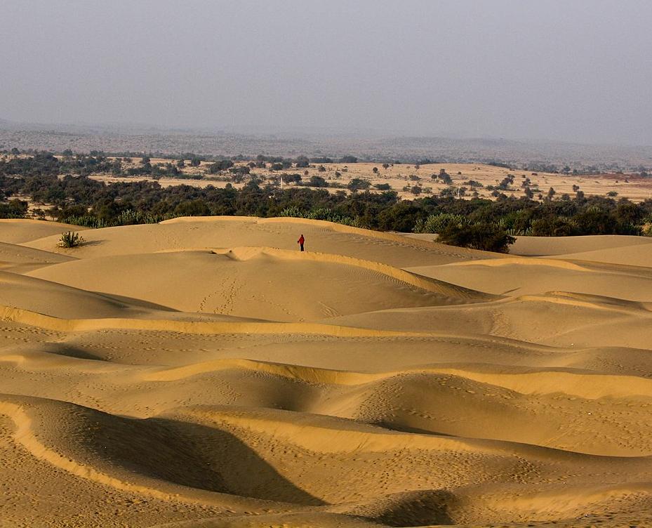 Sand dunes in the Thar Desert