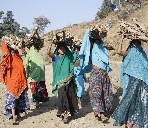 Women of a Rajasthan mountain village carrying firewood