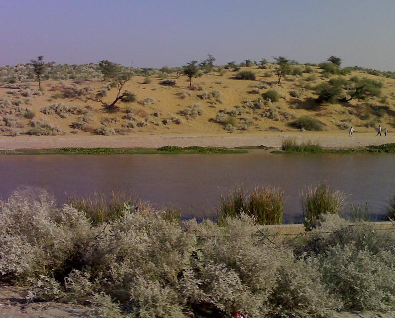 Indira Gandhi Canal flowing through the Thar Desert