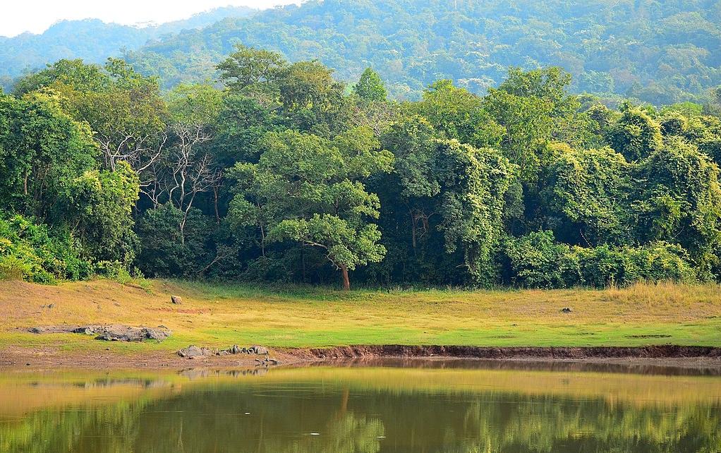 A water hole In Dalma Wildlife Sanctuary, amid the forested Dalma Hills