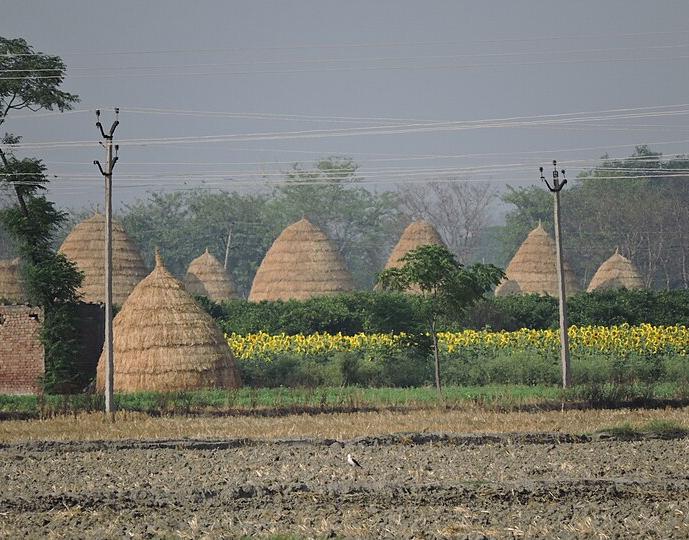 Farmland in Punjab following the spring harvest