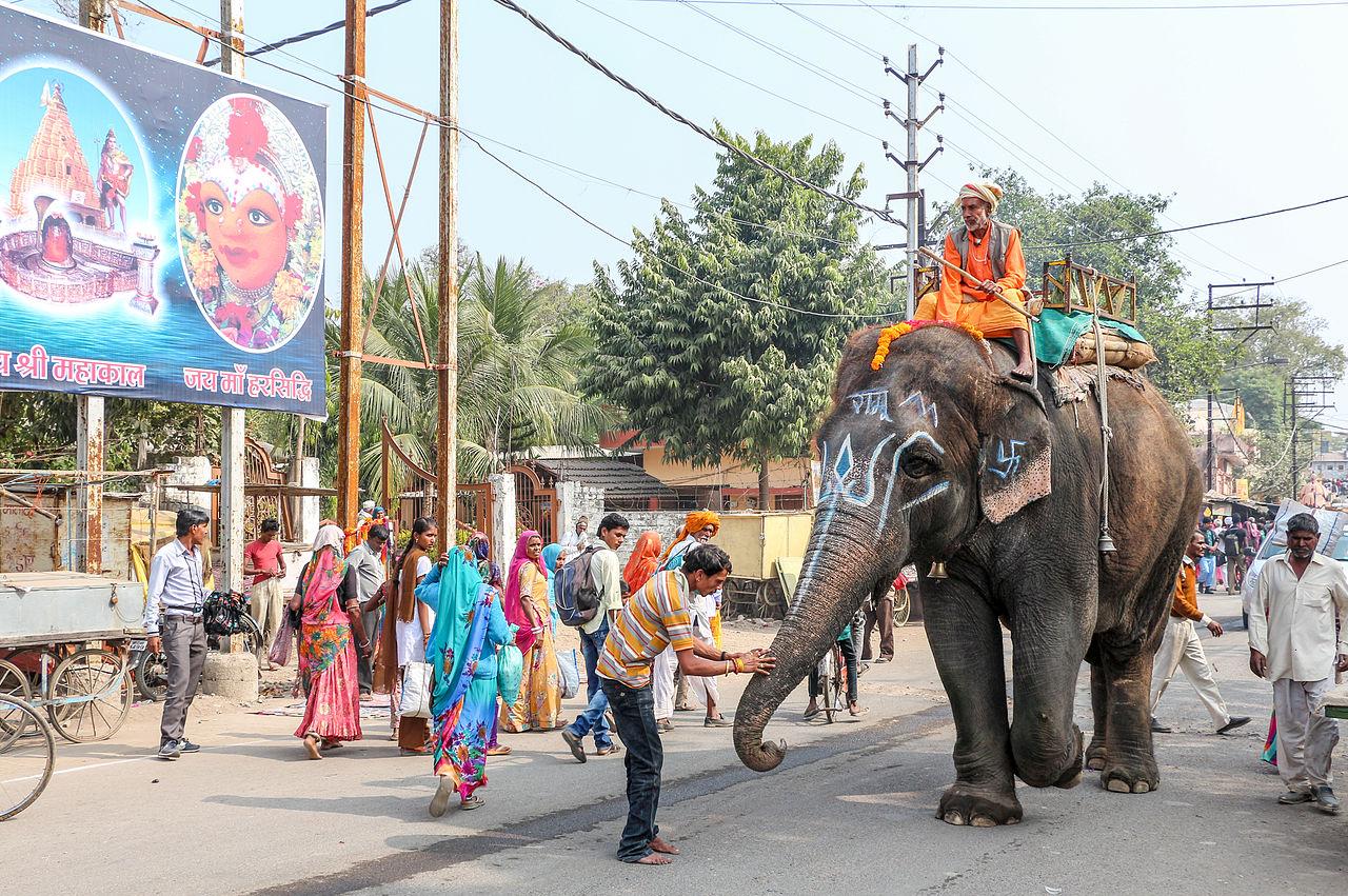 An elephant in Harsiddhi Marg, a street in the pilgrimage city of Ujjain