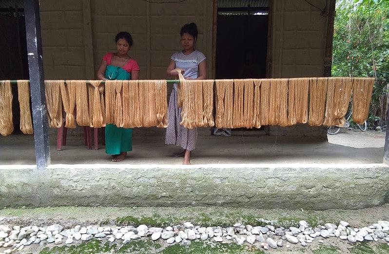 Muga silk weavers