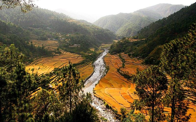 Terraced paddy fields on hill slopes near Rishikesh